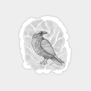 Raven spirit animal Sticker